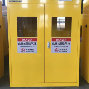 Gas cylinder storage cabinet