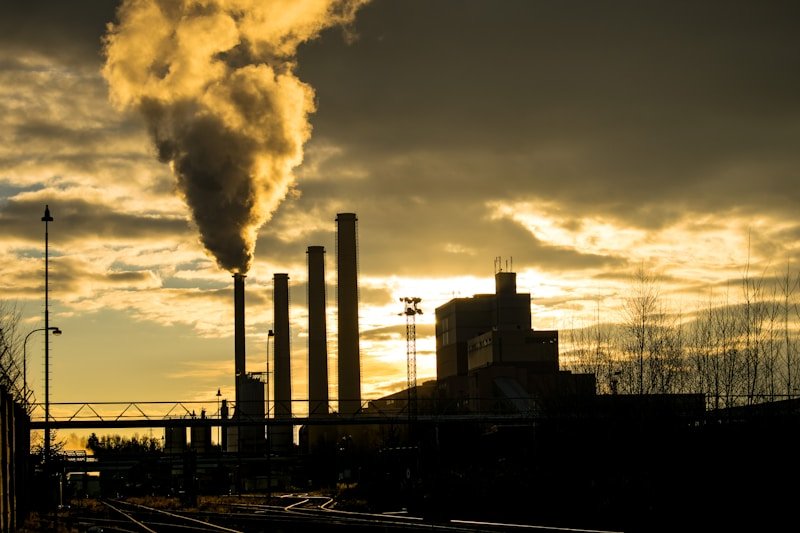 Power plant flue gas